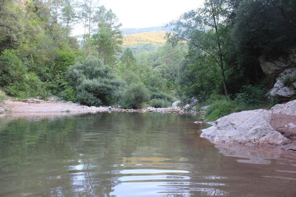 Can Carreras Albanya Εξωτερικό φωτογραφία