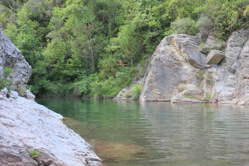 Can Carreras Albanya Εξωτερικό φωτογραφία